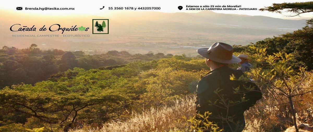 Foto de rancho en venta en  , acuitzio del canje, acuitzio, michoacán de ocampo, 0 No. 03