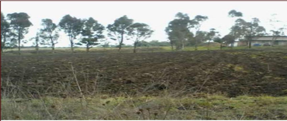 Foto de terreno habitacional en venta en  , aculco de espinoza, aculco, méxico, 18924335 No. 05