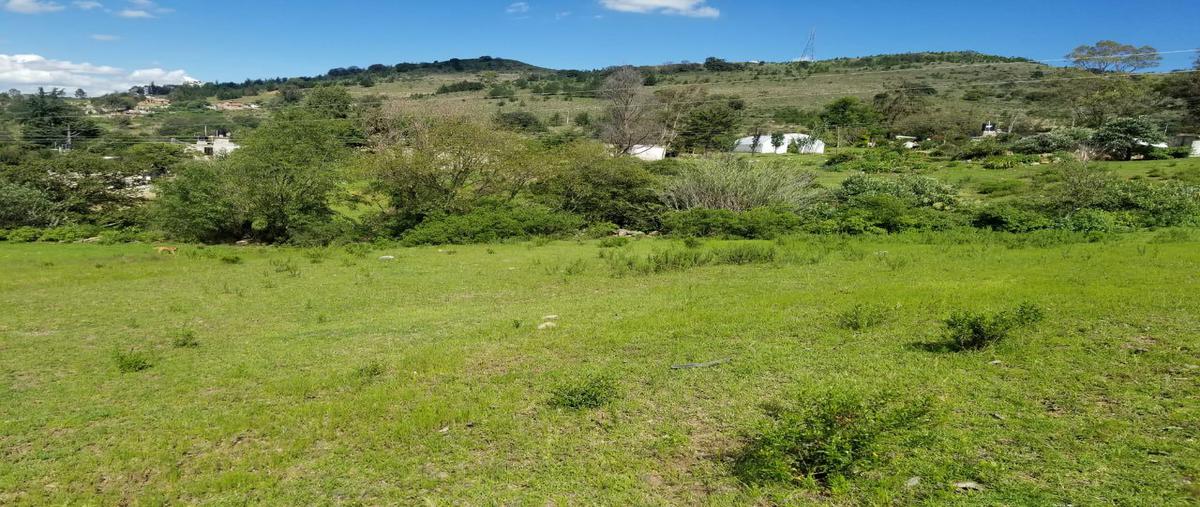 Foto de terreno habitacional en venta en  , aculco de espinoza, aculco, méxico, 0 No. 03
