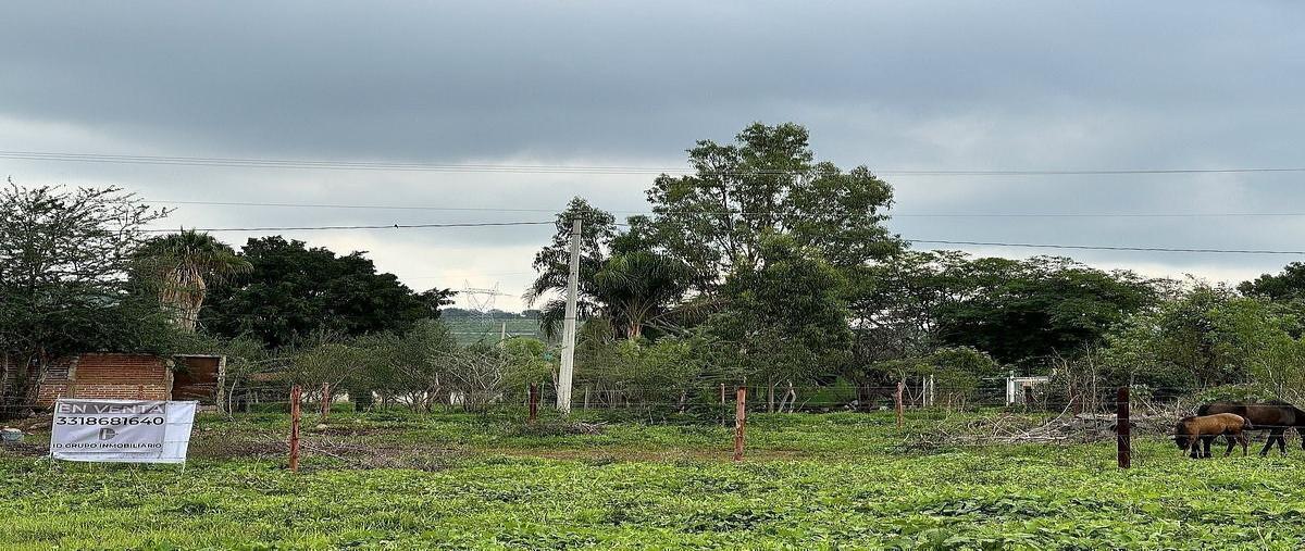 Foto de terreno habitacional en venta en adalberto velazquez , juanacatlan, juanacatlán, jalisco, 0 No. 04