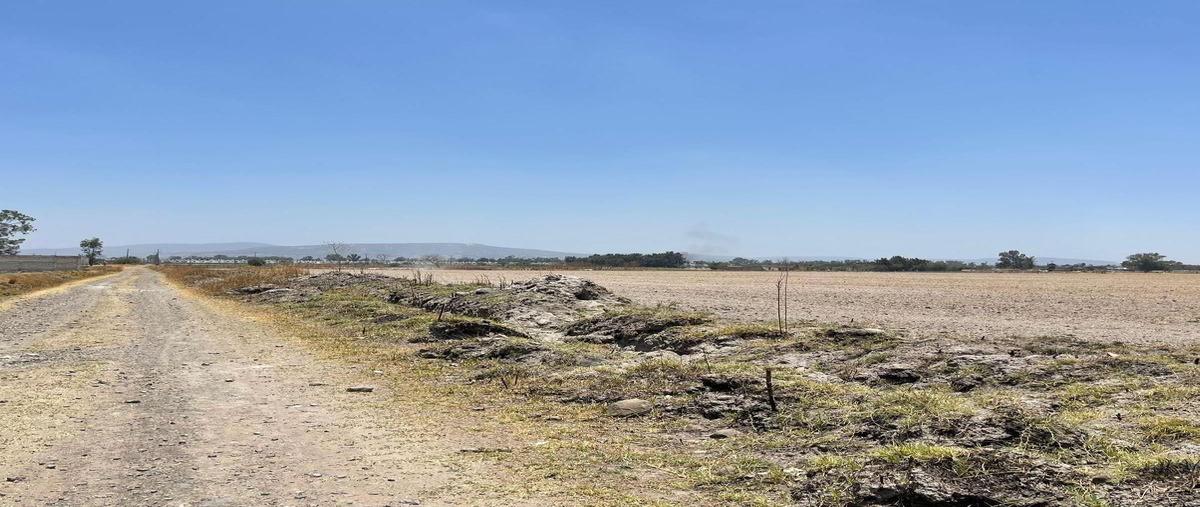 Foto de terreno habitacional en renta en adolf horn 3530 , altus bosques, tlajomulco de zúñiga, jalisco, 0 No. 03