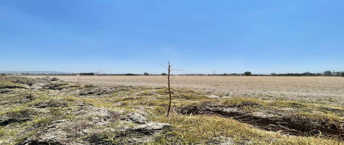 Foto de terreno habitacional en renta en adolf horn 3530 , altus bosques, tlajomulco de zúñiga, jalisco, 0 No. 04