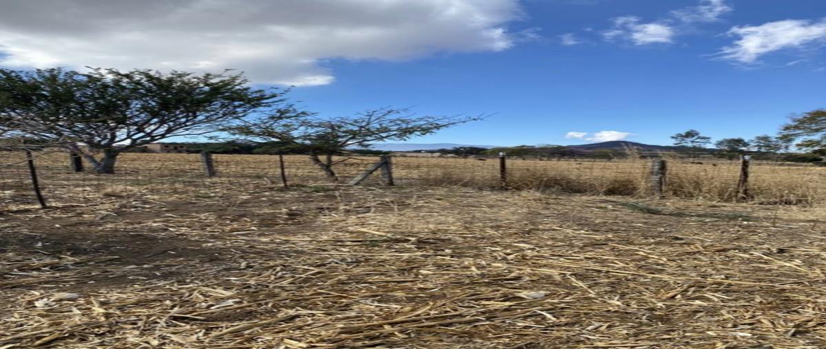 Foto de terreno habitacional en venta en adolfo horn , paseo de los agaves, tlajomulco de zúñiga, jalisco, 0 No. 04