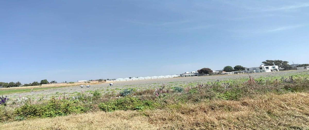 Foto de terreno comercial en venta en adolfo lopez mateos 101, santa maría tonantzintla, san andrés cholula, puebla, 0 No. 03