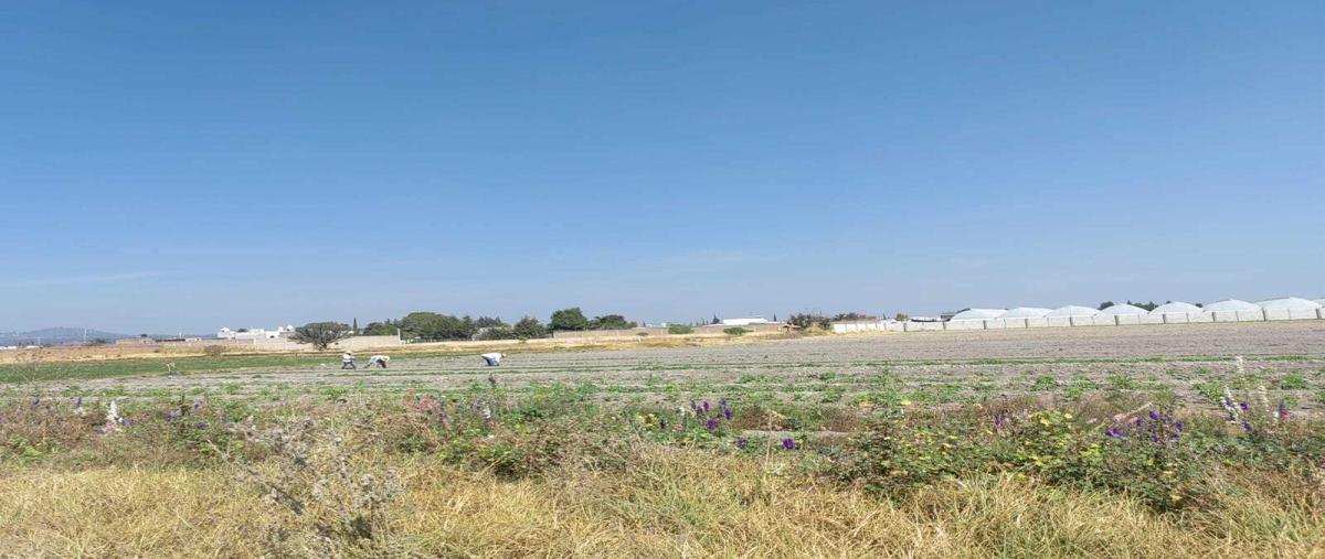 Foto de terreno comercial en venta en adolfo lopez mateos 101, santa maría tonantzintla, san andrés cholula, puebla, 0 No. 04