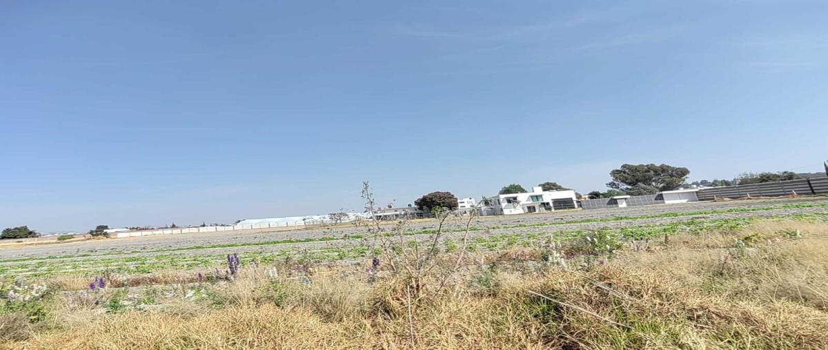 Foto de terreno comercial en venta en adolfo lopez mateos 101, santa maría tonantzintla, san andrés cholula, puebla, 0 No. 05
