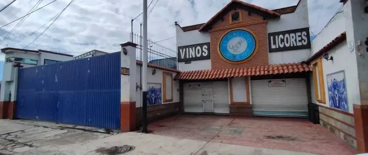 Foto de bodega en venta en adolfo lopez mateos 119, ojuelos, zinacantepec, méxico, 30330199 No. 02