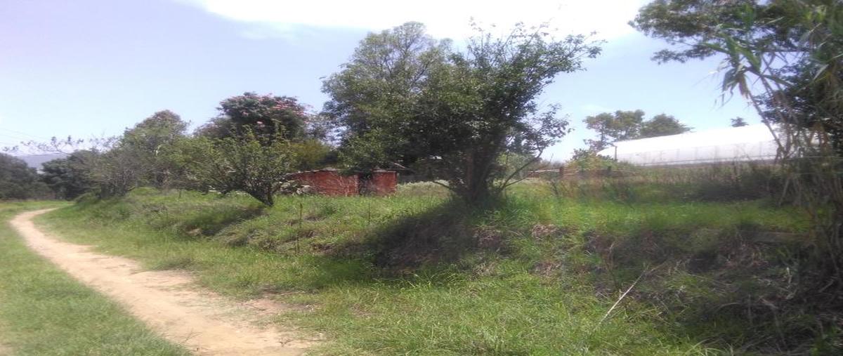 Foto de terreno habitacional en venta en adolfo lopez mateos 328, san lucas cuauhtelulpan, tlaxcala, tlaxcala, 0 No. 02