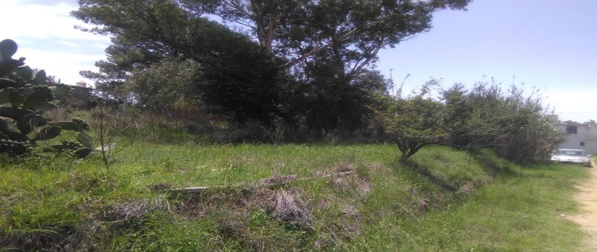 Foto de terreno habitacional en venta en adolfo lopez mateos 328, san lucas cuauhtelulpan, tlaxcala, tlaxcala, 0 No. 04