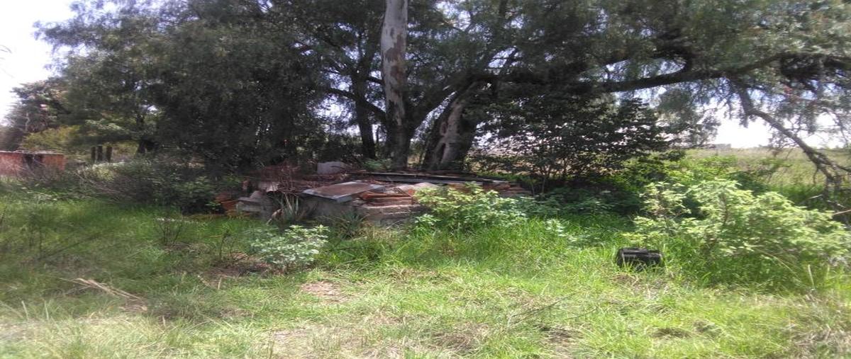 Foto de terreno habitacional en venta en adolfo lopez mateos 328, san lucas cuauhtelulpan, tlaxcala, tlaxcala, 0 No. 05