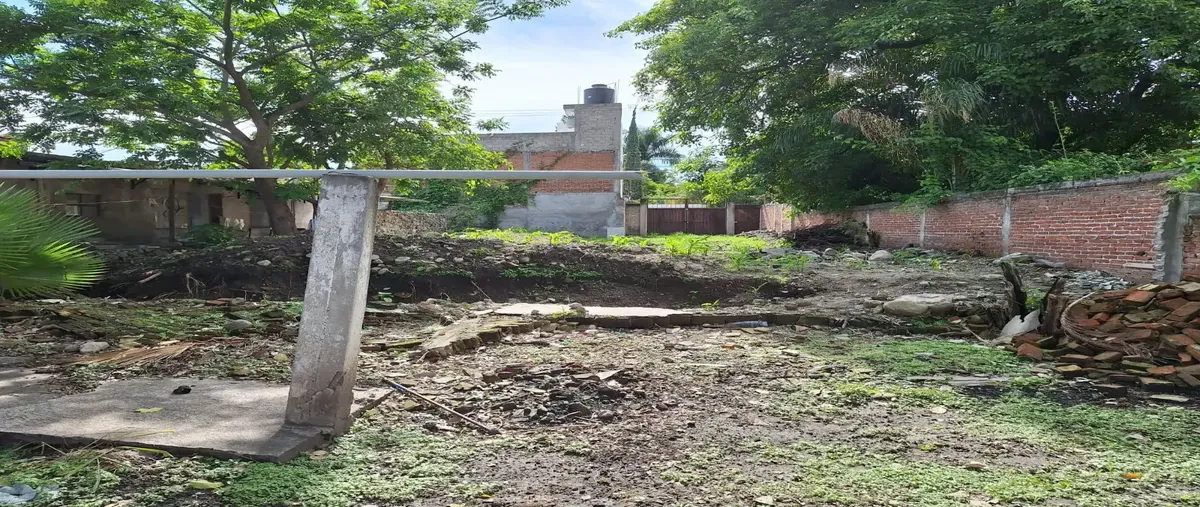 Foto de terreno comercial en renta en adolfo lópez mateos 7777, acatlipa centro, temixco, morelos, 0 No. 02