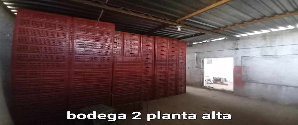 Foto de bodega en venta en  , adolfo lópez mateos, durango, durango, 28807680 No. 04