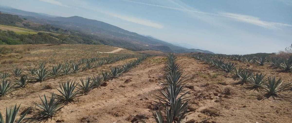 Foto de rancho en venta en adolfo lopez mateos , ejidal, xalisco, nayarit, 29207781 No. 04