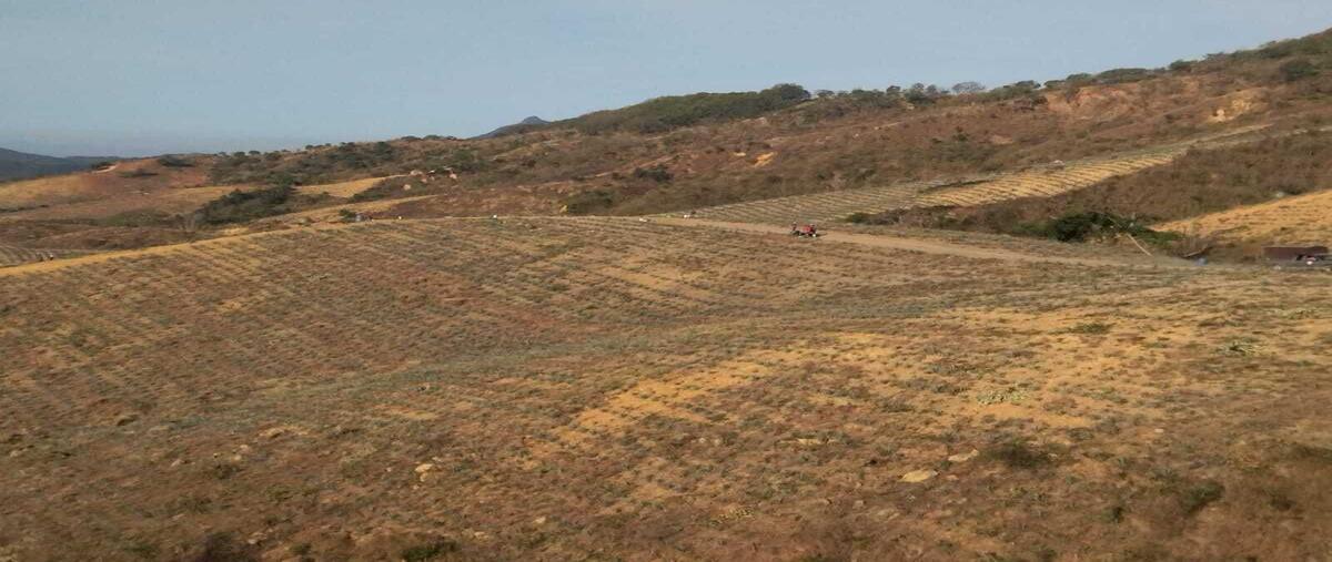 Foto de rancho en venta en adolfo lopez mateos , ejidal, xalisco, nayarit, 29207781 No. 05