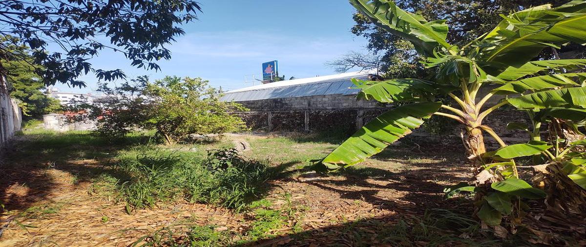 Foto de terreno habitacional en venta en  , adolfo lópez mateos, othón p. blanco, quintana roo, 30299119 No. 03