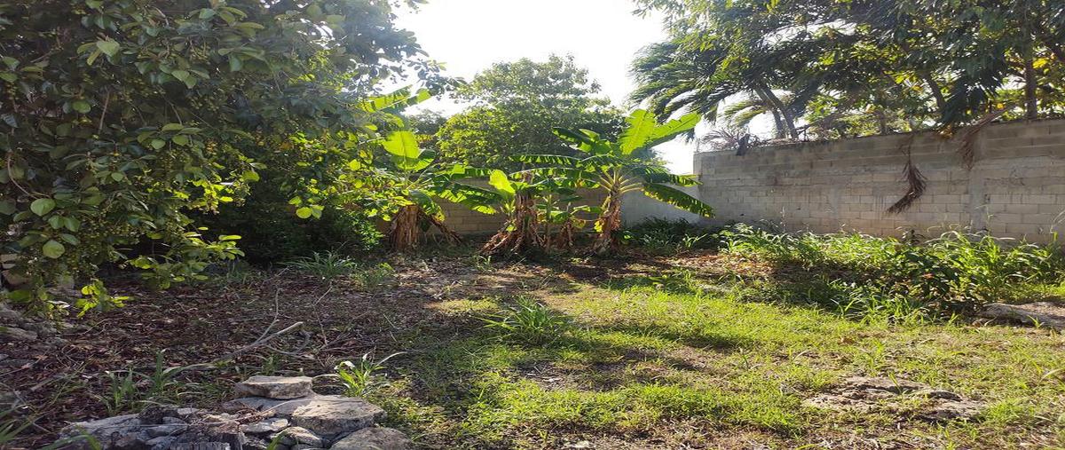 Foto de terreno habitacional en venta en  , adolfo lópez mateos, othón p. blanco, quintana roo, 30299119 No. 04
