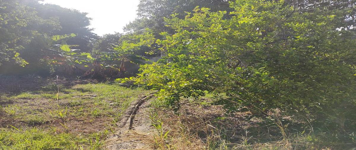 Foto de terreno habitacional en venta en  , adolfo lópez mateos, othón p. blanco, quintana roo, 30299119 No. 05