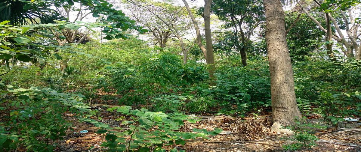 Foto de terreno habitacional en venta en  , adolfo lópez mateos, othón p. blanco, quintana roo, 30299120 No. 04