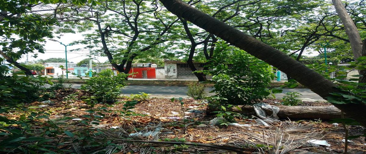 Foto de terreno habitacional en venta en  , adolfo lópez mateos, othón p. blanco, quintana roo, 30299120 No. 05