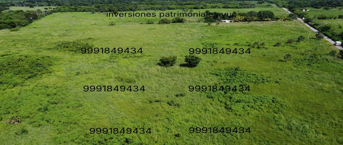 Foto de rancho en venta en  , adolfo lópez mateos, tizimín, yucatán, 30084780 No. 05