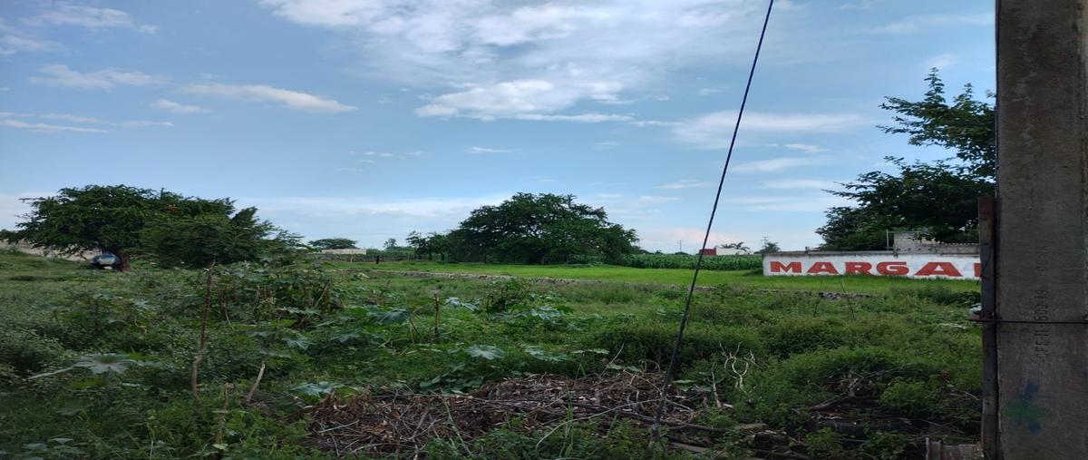 Foto de terreno habitacional en renta en  , adolfo lópez mateos, yecapixtla, morelos, 0 No. 01