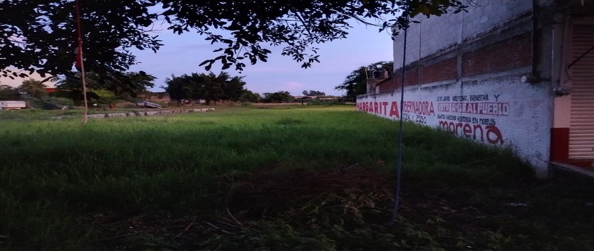 Foto de terreno habitacional en renta en  , adolfo lópez mateos, yecapixtla, morelos, 28622268 No. 05