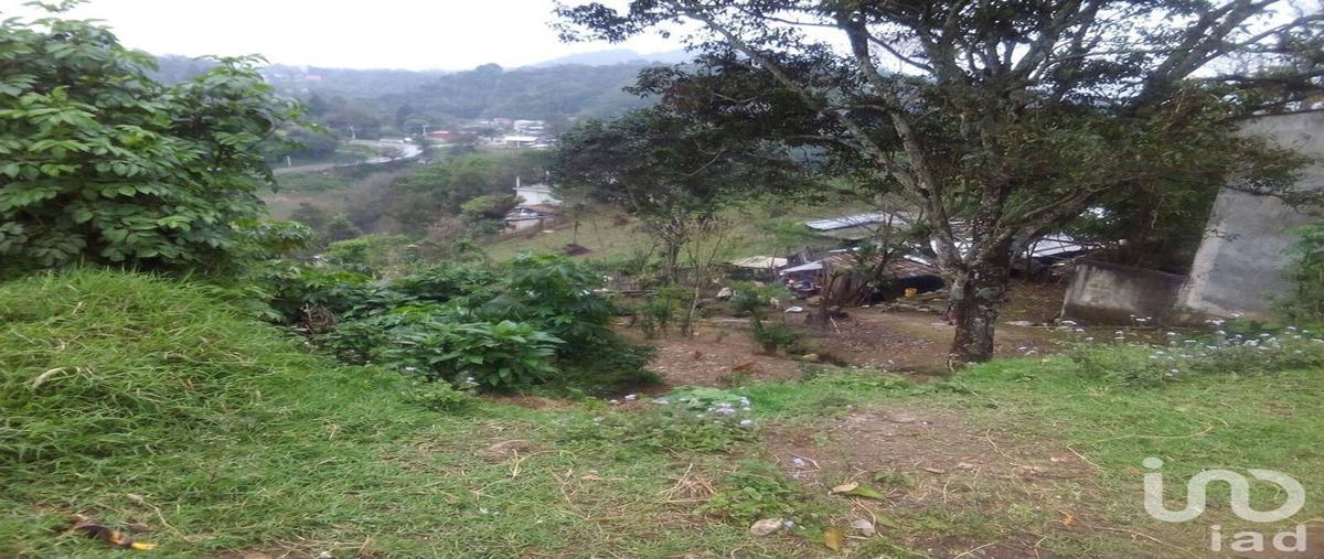 Foto de terreno habitacional en venta en adolfo lopez mates 165, otilpan, tlalnelhuayocan, veracruz de ignacio de la llave, 30238032 No. 03