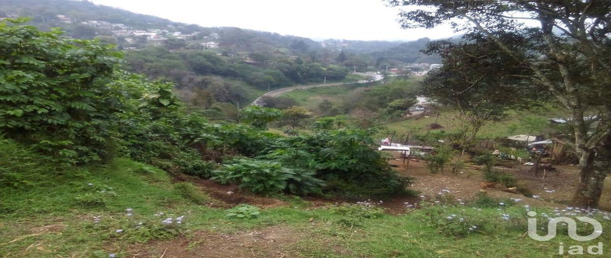 Foto de terreno habitacional en venta en adolfo lopez mates 165, otilpan, tlalnelhuayocan, veracruz de ignacio de la llave, 30238032 No. 05