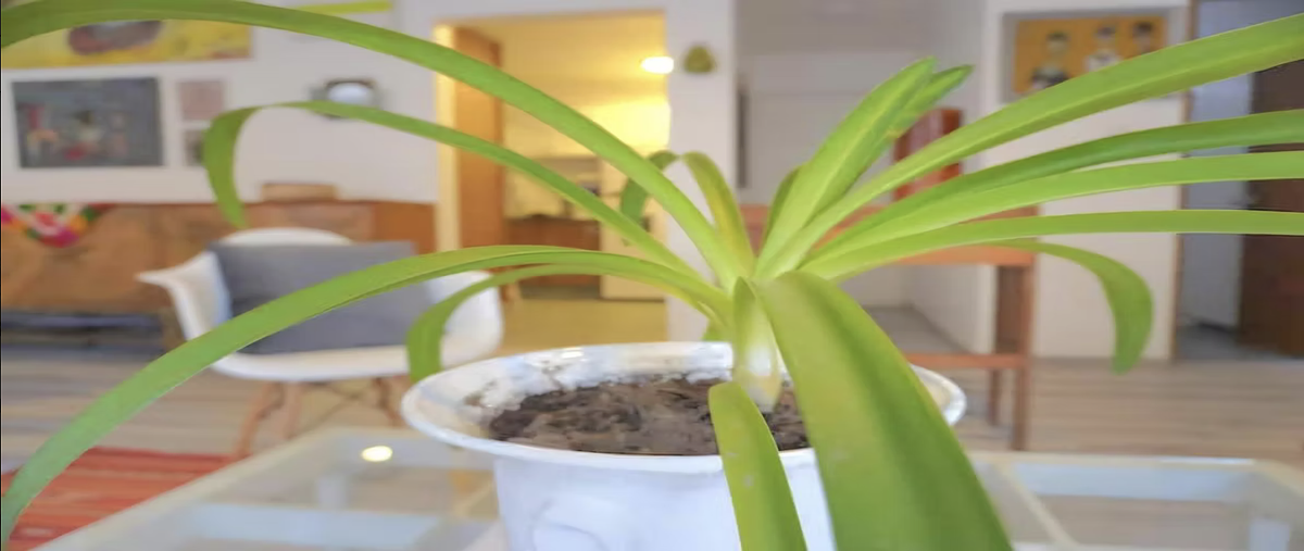 Foto de departamento en venta en adolfo prieto , del valle norte, benito juárez, df / cdmx, 31031630 No. 05