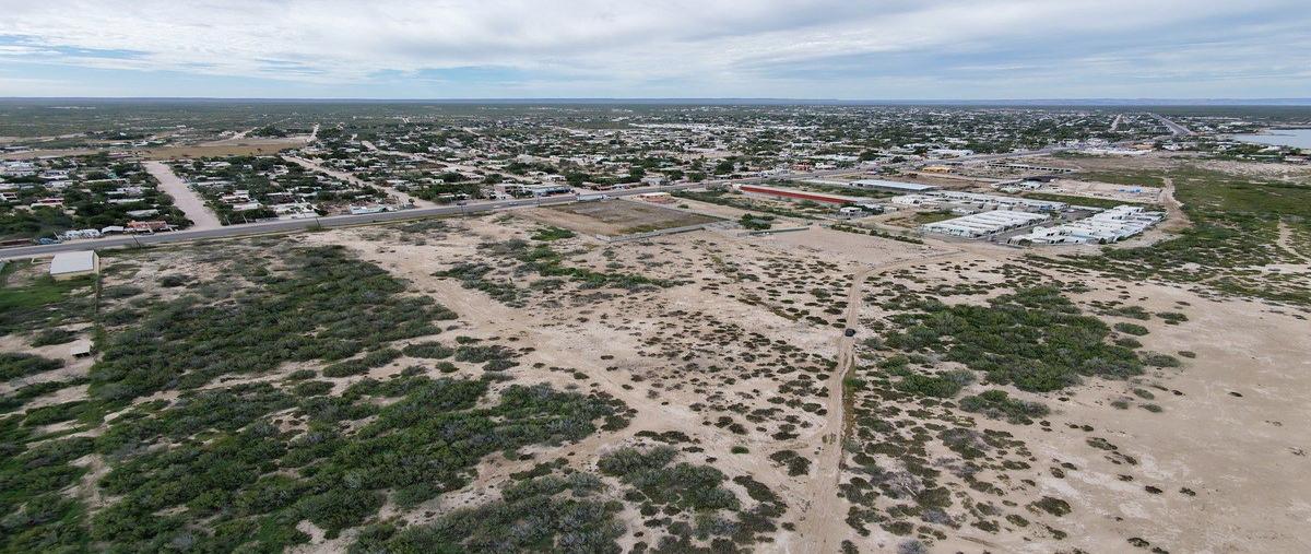 Foto de terreno habitacional en adolfo ruiz cortines , el centenario, la paz, baja california sur, 0 foto 02 Foto de terreno habitacional en venta en adolfo ruiz cortines , el centenario, la paz, baja california sur, 0 No. 02