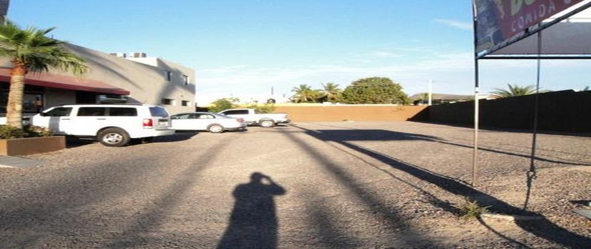 Foto de local en venta en  , adolfo ruiz cortines, la paz, baja california sur, 30303047 No. 02