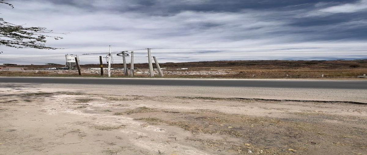 Foto de terreno habitacional en venta en adovera , arroyo, tonalá, jalisco, 0 No. 05