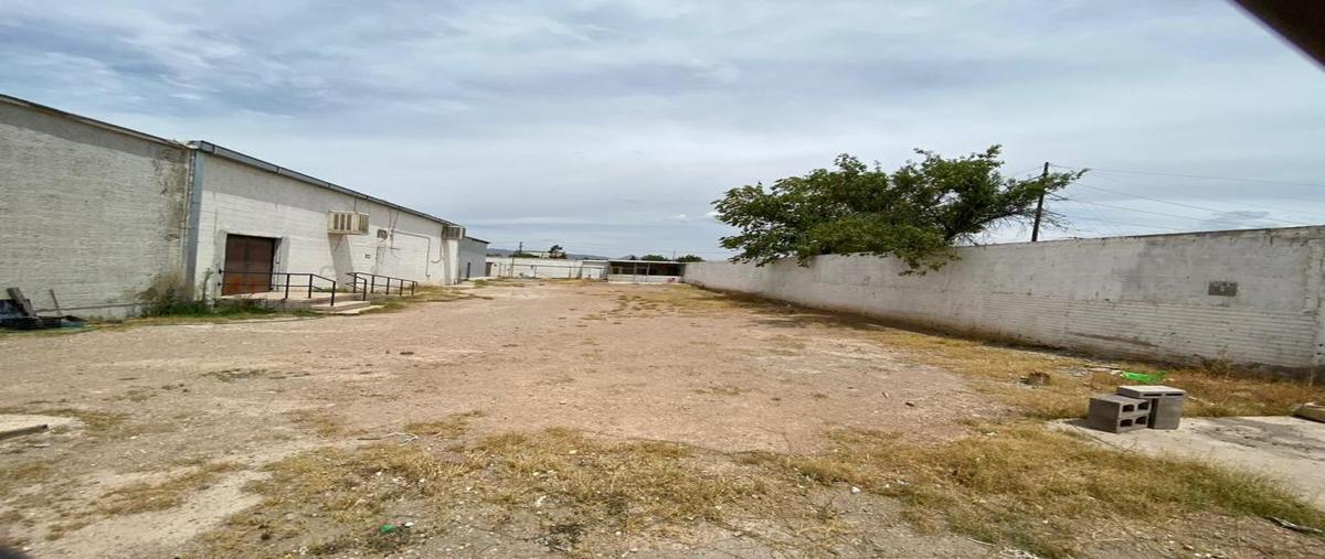 Foto de bodega en , aeropuerto, chihuahua, chihuahua, 28435484 foto 05 Foto de bodega en venta en , aeropuerto, chihuahua, chihuahua, 28435484 No. 05