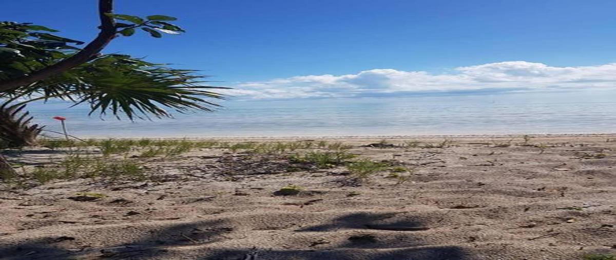 Foto de terreno habitacional en venta en  , aeropuerto, othón p. blanco, quintana roo, 0 No. 04