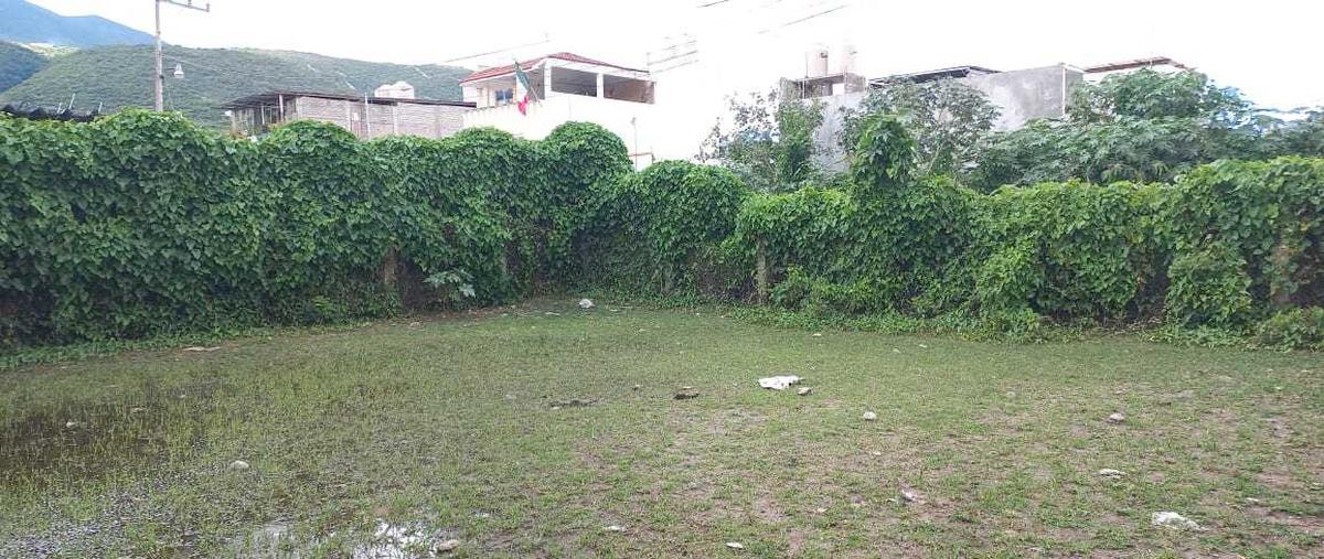 Foto de terreno comercial en renta en aeropuerto , ricardo flores magón, chilpancingo de los bravo, guerrero, 0 No. 03