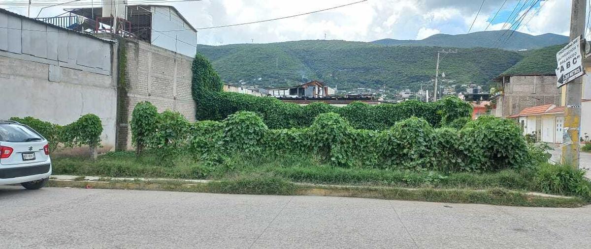 Foto de terreno comercial en renta en aeropuerto , ricardo flores magón, chilpancingo de los bravo, guerrero, 0 No. 05