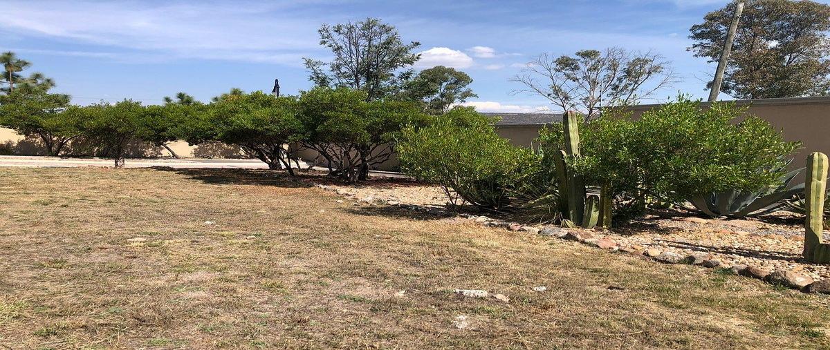Foto de terreno habitacional en venta en agave , villa antigua, san miguel de allende, guanajuato, 0 No. 05