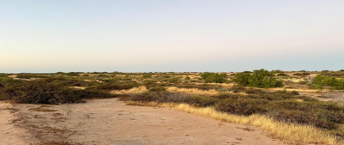 Foto de terreno habitacional en venta en  , agiabampo, navojoa, sonora, 0 No. 05