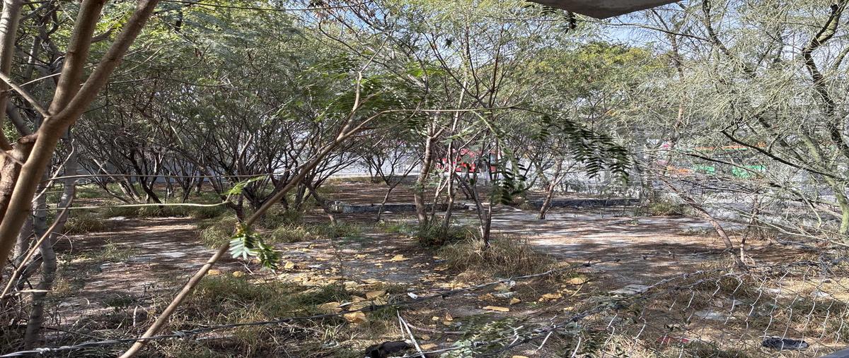 Foto de terreno habitacional en renta en  , agrícola acero, monterrey, nuevo león, 0 No. 05