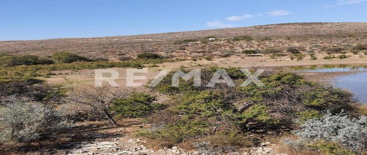 Foto de terreno comercial en agrícola ganadera general lorenzo ávalos , san pedro del gallo (el gallo), san pedro del gallo, durango, 29769545 foto 03 Foto de terreno comercial en venta en agrícola ganadera general lorenzo ávalos , san pedro del gallo (el gallo), san pedro del gallo, durango, 29769545 No. 03