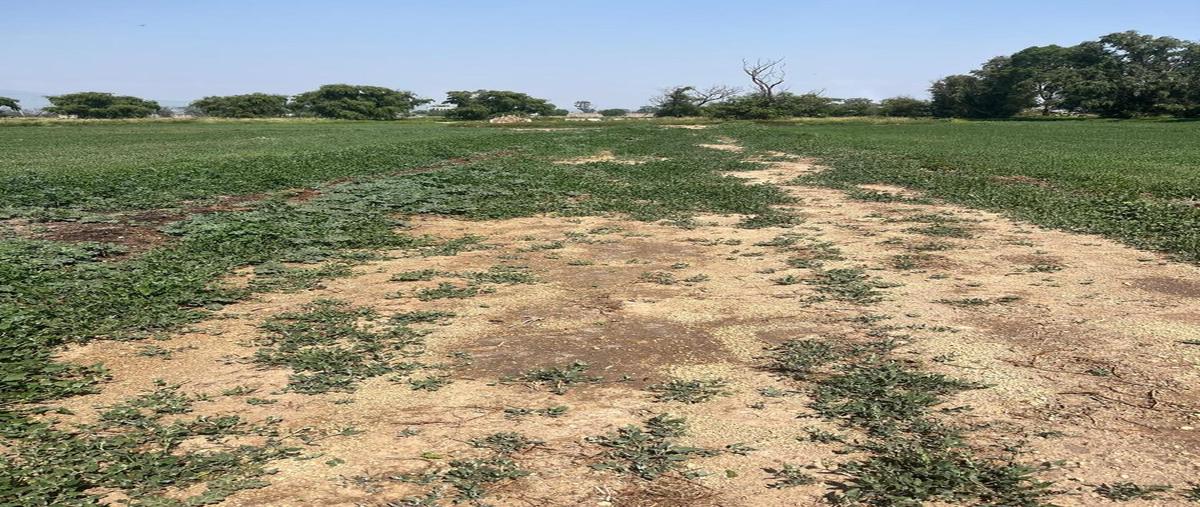 Foto de terreno habitacional en venta en  , agrícola santo tomás, teoloyucan, méxico, 0 No. 03