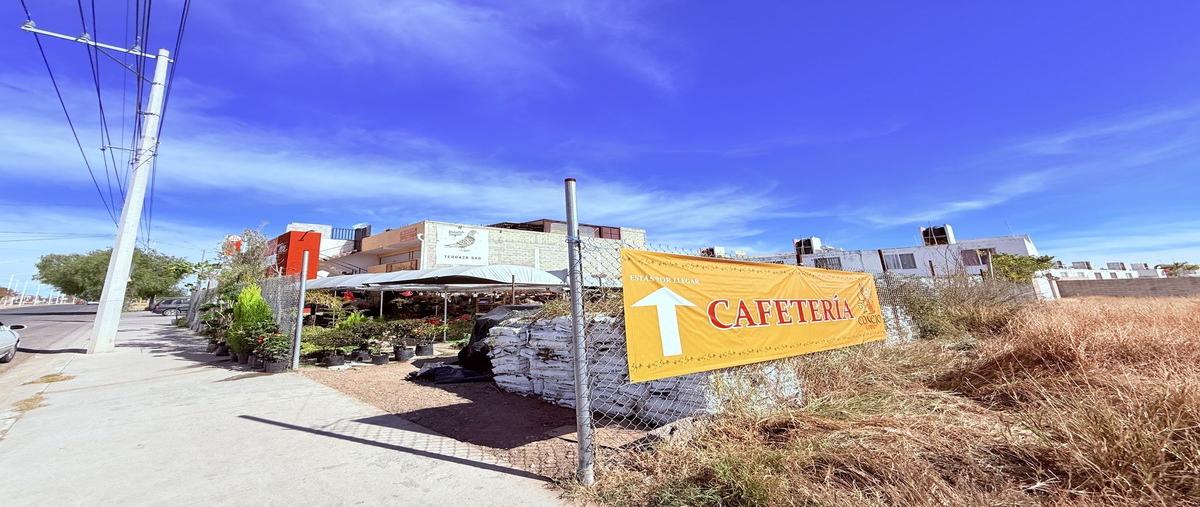 Foto de terreno habitacional en renta en  , agricultura, aguascalientes, aguascalientes, 31093177 No. 03