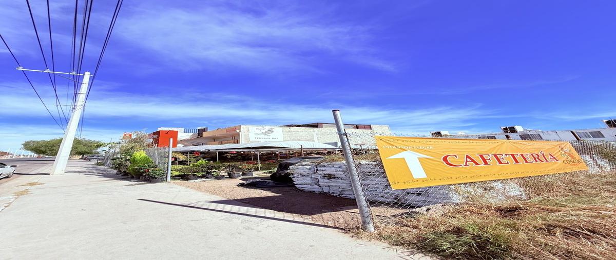 Foto de terreno habitacional en renta en  , agricultura, aguascalientes, aguascalientes, 0 No. 04