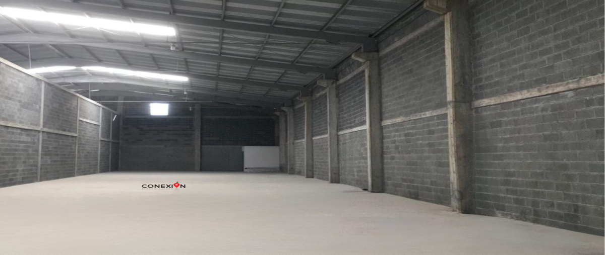 Foto de bodega en renta en  , agropecuaria, general escobedo, nuevo león, 30126331 No. 03
