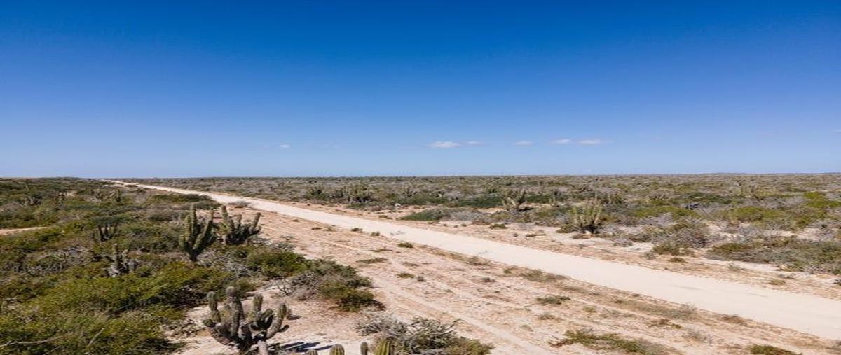 Foto de terreno habitacional en venta en agua blanca , agua blanca, la paz, baja california sur, 30142225 No. 05