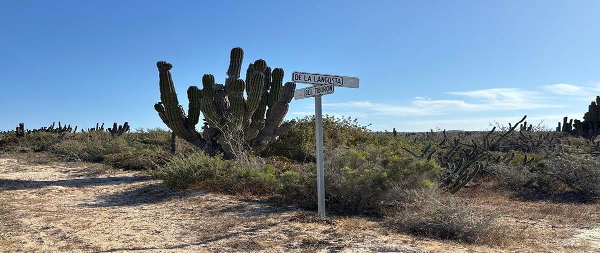 Foto de terreno habitacional en venta en agua blanca , la cahchora, la paz, baja california sur, 0 No. 03
