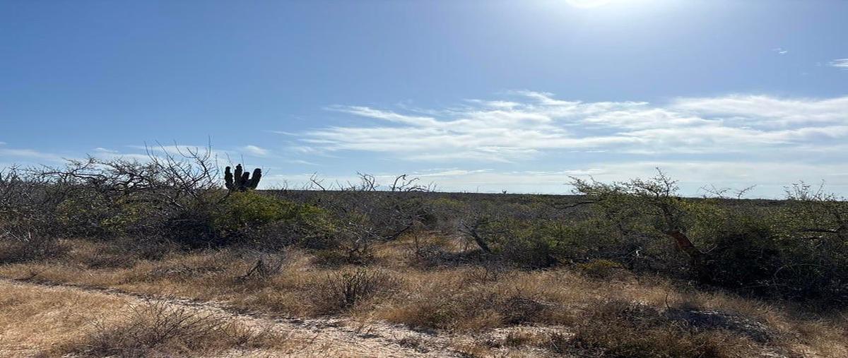 Foto de terreno habitacional en venta en agua blanca , la cahchora, la paz, baja california sur, 0 No. 05