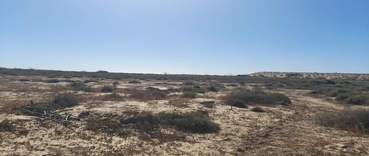 Foto de terreno habitacional en , agua blanca, la paz, baja california sur, 0 foto 04 Foto de terreno habitacional en venta en , agua blanca, la paz, baja california sur, 0 No. 04