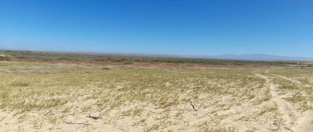 Foto de terreno habitacional en , agua blanca, la paz, baja california sur, 0 foto 05 Foto de terreno habitacional en venta en , agua blanca, la paz, baja california sur, 0 No. 05