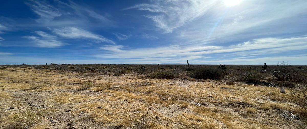 Foto de terreno habitacional en venta en  , agua blanca, la paz, baja california sur, 28092569 No. 01